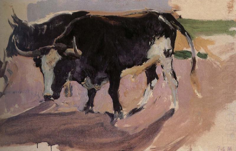 Bull Project, Joaquin Sorolla